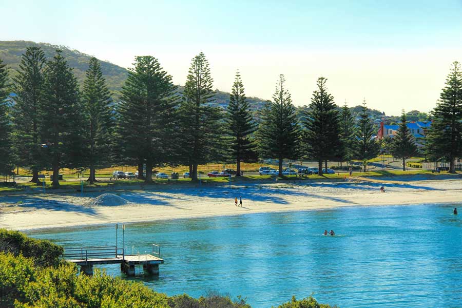 Albany District Insurance Brokers Middleton Beach photo.