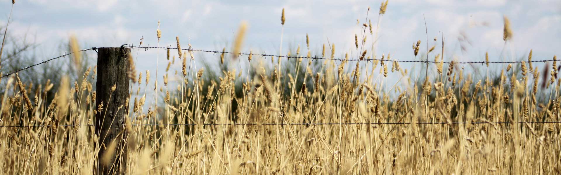 Farming and rural insurance gallery photo.