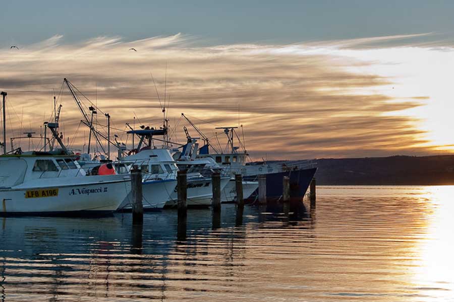 Albany District Insurance Brokers Emu Point jetty photo.